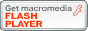 FlashPlayer_E[hTCg